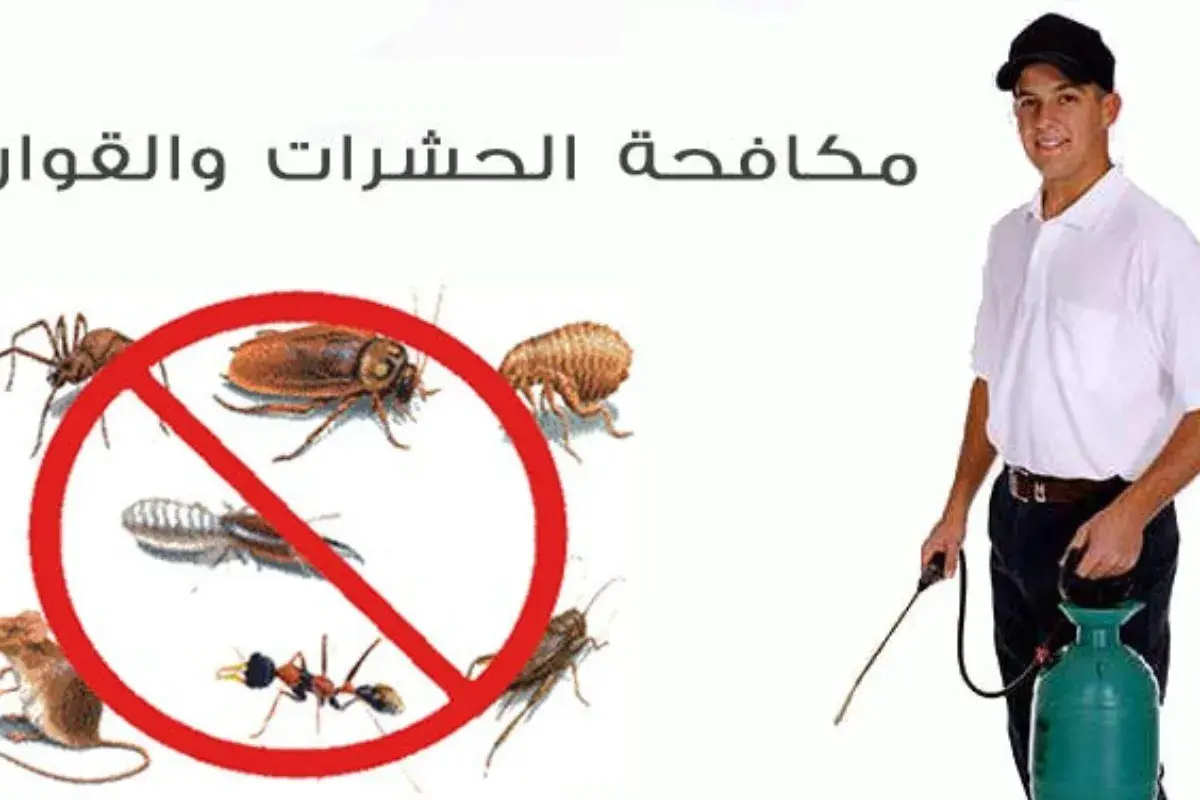 مكافحة النمل والصراصير بالعين